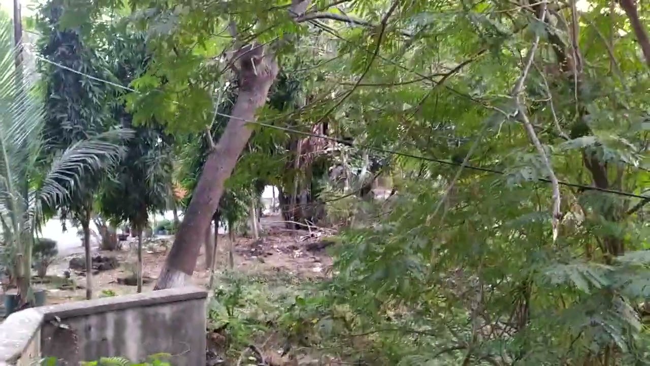 Regional Labour Institute