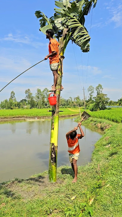 The boy was climbing a banana tree and catching fish.#44