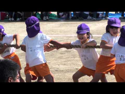 2011美羽運動会綱引き