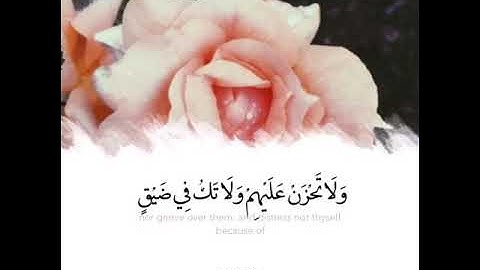 قران كريم بصوت اسلام صبحى💙|حالات واتس اب😍||ولا تحزن عليهم ولا تك فى ضيق مما يمكرون||❤😍