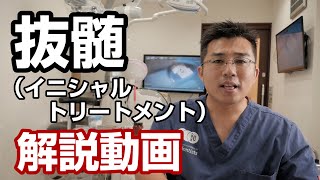 抜髄(イニシャルトリートメント)｜大阪で根管治療専門医・歯根治療