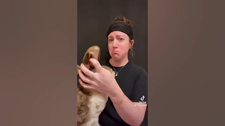 Reactions to custom plushies after pet loss 🥹 #petloss #dogloss #grief #griefjourney #emotional