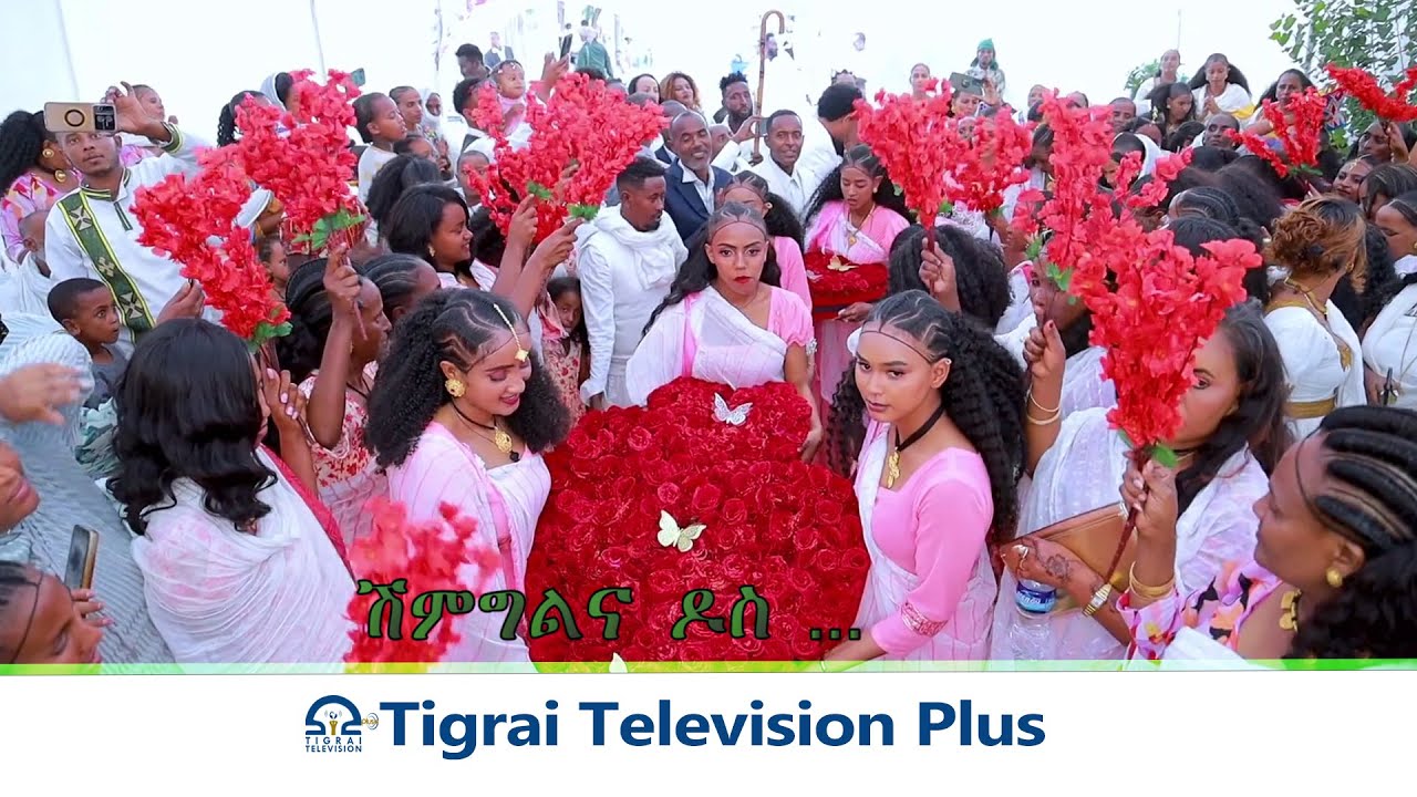 ሽምግልና ዶስ . . .