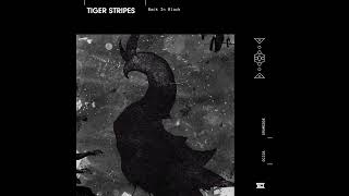 Tiger Stripes - Back In Black (Original Mix)
