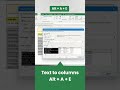 Effortless Text Splitting: Excel Column Shortcut 🔠🔀🔢#ExcelTips #excel #ytshorts