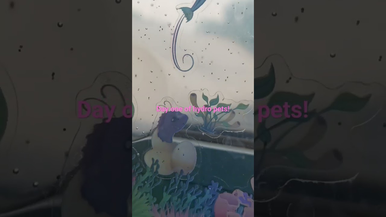 Day one of hydro pets