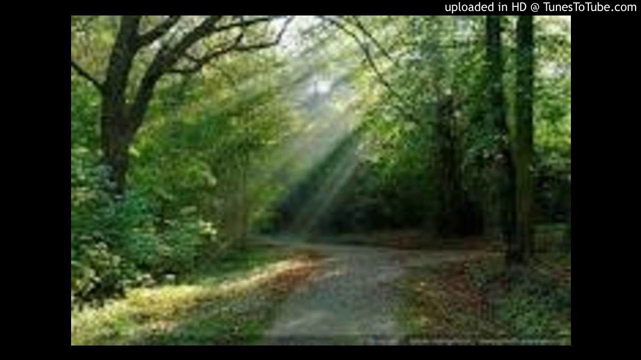 REPORTAGE EMPLOIS VERTS SEDHIOU FR