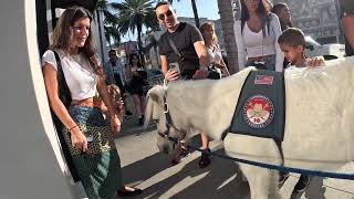 Lt. Rowdy takes a walk around Rodeo Drive 9 - 10 100423.