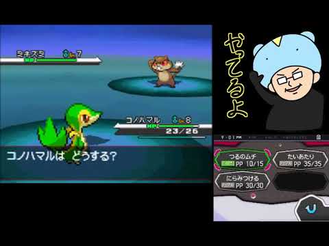 ポケモンbw 一人目のトレーナー名前当てクイズ Youtube ポケモンbw 一人目のトレーナー名前当てクイズ Youtube