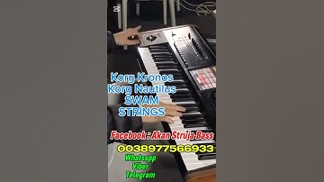 KRONOS & NAUTİLUS SWAM STRİNGS NEW SET 2025 #korgkronos #strings #tallava #music #SWAMSTRİNGS