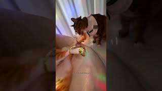 Bibi's Camera Movements in Bibi Bibi Bibi Labu Are Simply Irresistible