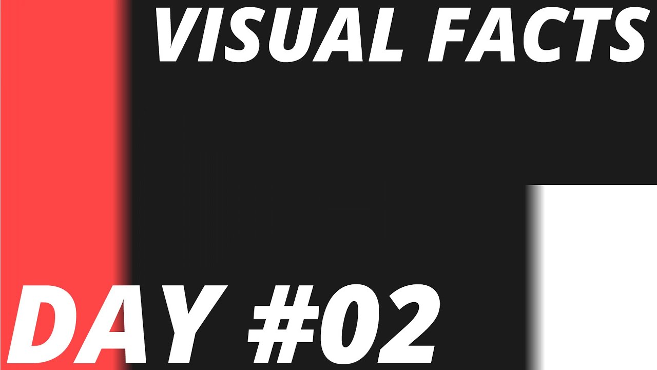 VISUAL FACTS // DAY #02 