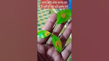 अगर कोई काम अटक रहा है नहीं हो रहा तो यह उपाय करें #shivmahapuran #pradeepmishra #shorts