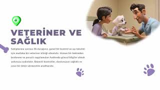 Yavru Köpek Sahiplenecekler İçin Hayati Tavsiyeler