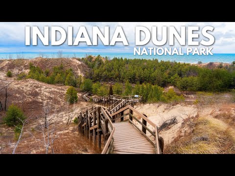 24 Hours In Indiana Dunes National Park (Hiking, Dunes, Historic Homes & the Chicago Skyline)