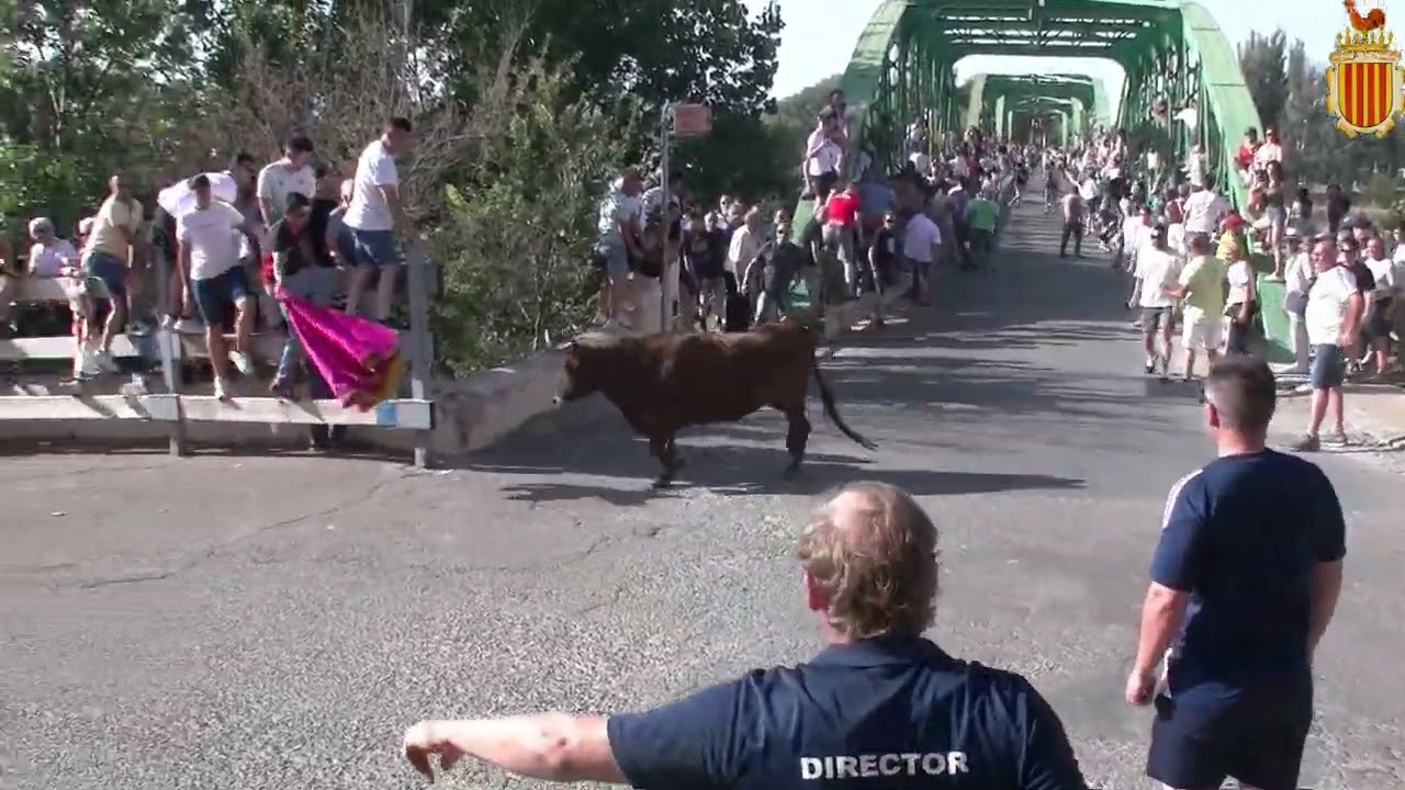 ENTRADA RESES BRAVAS  29 JUNIO 2025