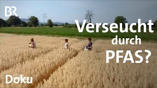 PFAS – Gift für die Ewigkeit | Wie abhängig sind wir? | Gefährlich und praktisch | ARD Wissen | BR