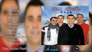 Koma Sürgün - Zeriye - (Official Audıo)