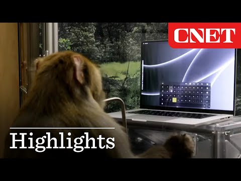 Elon Musk Shows Latest Neuralink Demo of Monkey Typing with its Mind