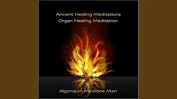 Organ Healing Meditation