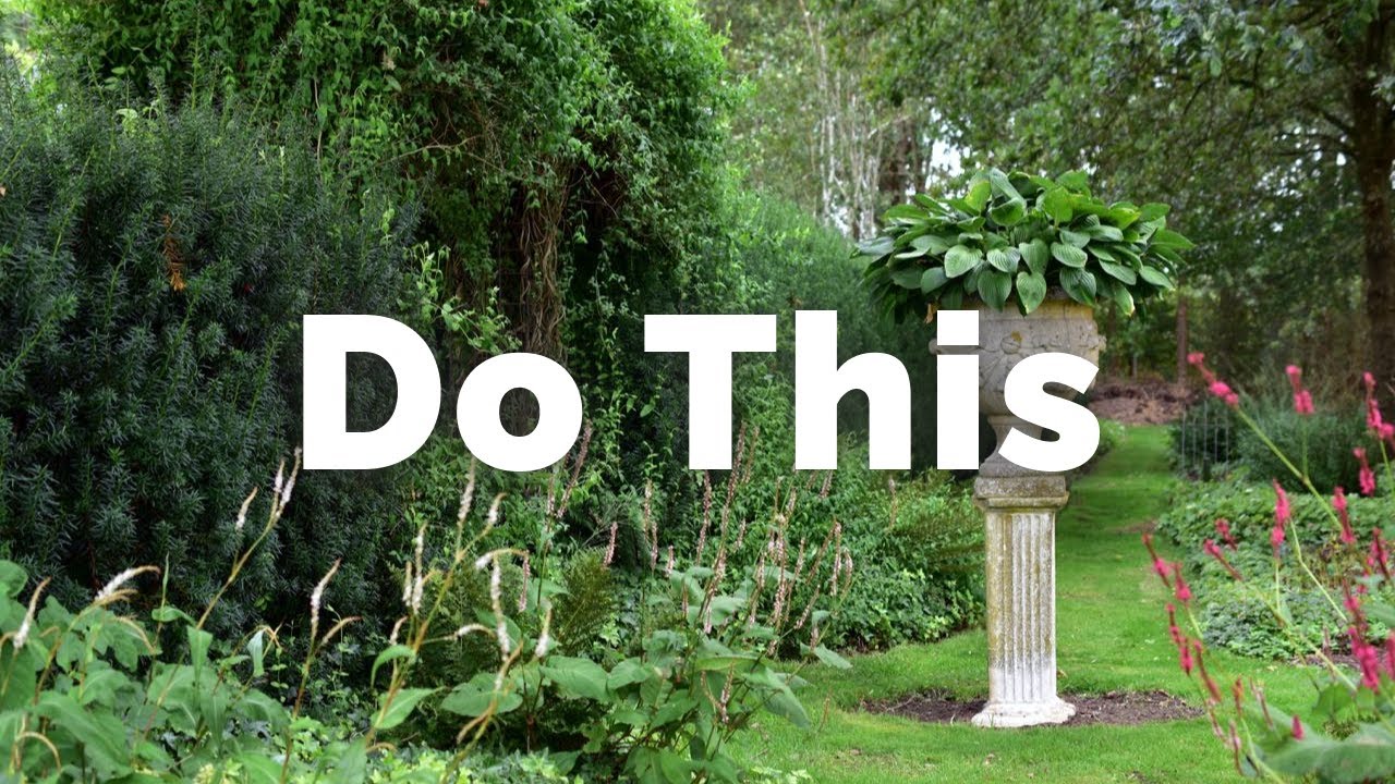 Abraham Hicks - Do This Before Taking The Action