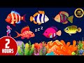 Baby Sleep Music 💤 Mozart &amp; Brahms Lullabies  Fall Asleep in 3 Minutes ♥ Bedtime Routine for Babies