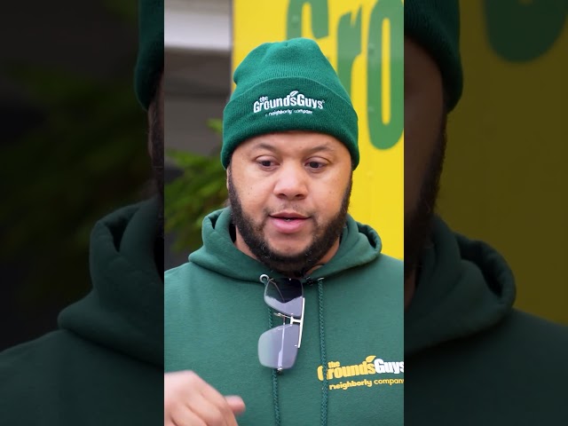 Start Your Lawn Care Business with the BASICS