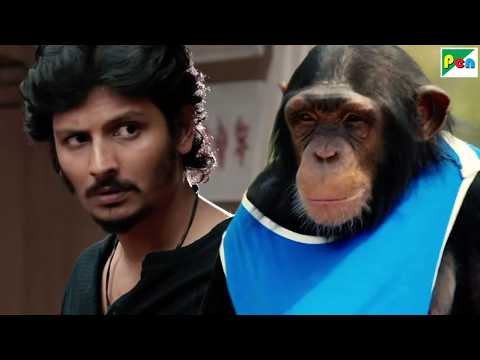 बन्दर के वजह से दोस्त की जान बच पायी - Jiiva, Yogi Babu, Shalini Pandey - Gorilla Gang