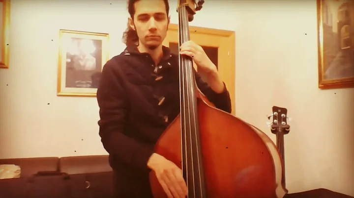 Fever - Double BASS or Acoustic BASS?