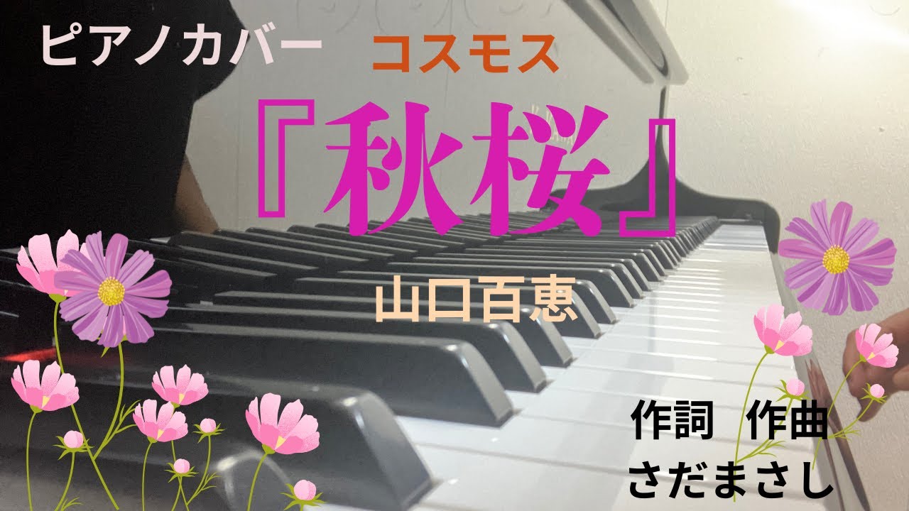 『秋桜』(コスモス)歌詞付き/山口百恵／秋の名曲を弾いてみた🌸    作詞 作曲 さだまさし