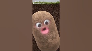 Thumbnail of The duck song 🦆(cover by Pebble the Potato)