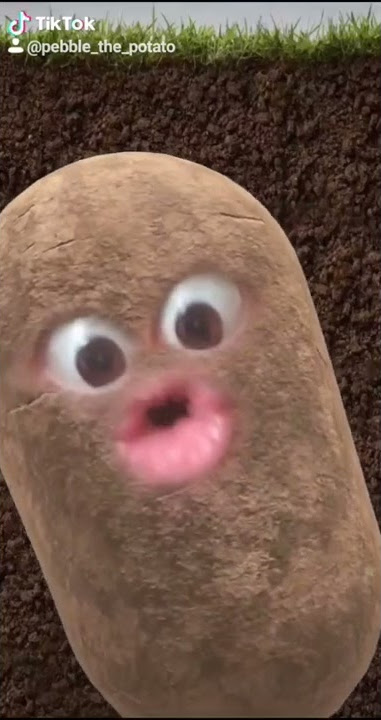 The duck song 🦆(cover by Pebble the Potato)