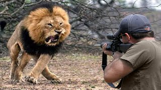 Lions don't run away from battle 😱👌👍 Part 1