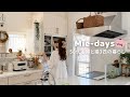 287. 【購入品が大当たり】東京旅行の余韻と、50代主婦の夏の暮らし｜猫3匹Vlog