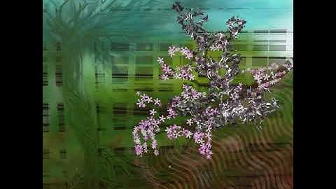 fractals 1.1, Fractals in Nature..