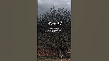 القرآن الكريم.قراءة هادئة #استغفرالله #راحة_نفسية #لايك #اكسبلور #استغفار #حالات_واتس #سبحان الله