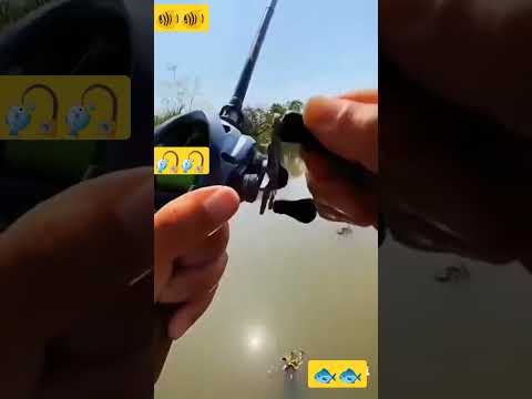 amazing fishing naked