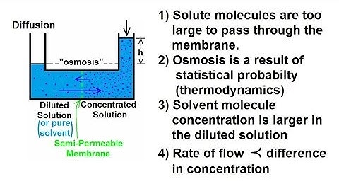 Chemistry - Solutions (43 of 53) Colligative Properties- Osmosis- Mechanization