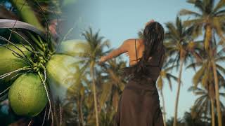 Rude Bwoy Commercial  |  Ska Ponce Short