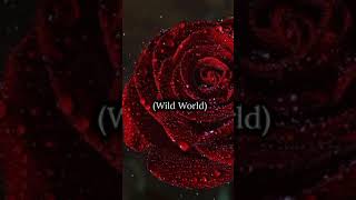 Maxi Priest (Wild World) Lyric Video