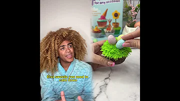 August 20 2025 