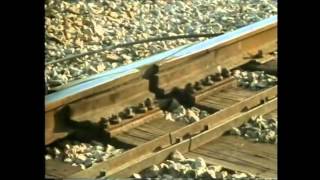 Un tren en movimiento (1987)