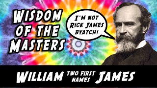 William James says the worst lie is a truth that is misunderstood.