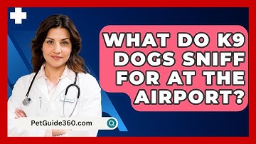 What Do K9 Dogs Sniff For At The Airport? - PetGuide360.com