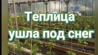 Наша теплица рухнула от снега, Кубань, станица Фёдоровская 2022г