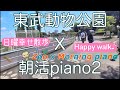 東武動物公園 × 朝活ピアノ2 幸せな日曜日の波動をどうぞ