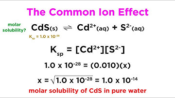 The Common Ion Effect