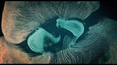 Pills Dissolve In Macro | Love For Crafts