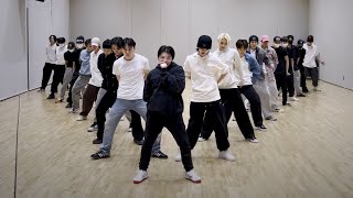 SEVENTEEN - DON QUIXOTE Dance Practice Mirrored