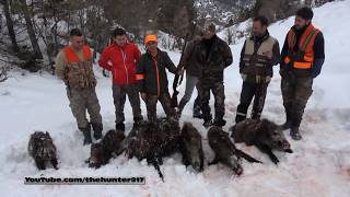 CEO TRUST DOMUZ AVI 7 Wild Boar Hunting